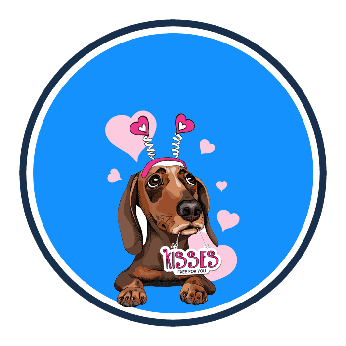 Valentine’s day and pets