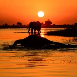 Lake in Botswana