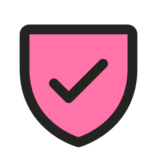 security check mark icon