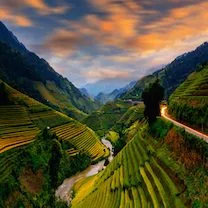 Rice field terraces in Sapa, Vietnam