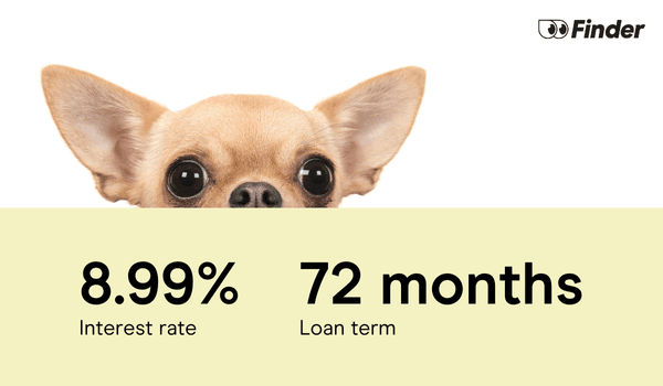 Dog peeking at 8.99% interest rate and 72 months loan term