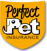 Best pet insurance in the UK for 2021 | Finder UK